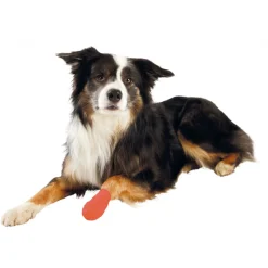 Trixie Zelfklevende Bandages - Hondenverzorging - 4.5 m 4 stuks