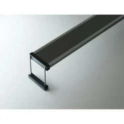Twinstar Light Iv - Verlichting - 200ea