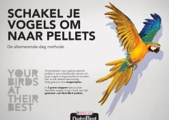 Versele-Laga Nutribird B14 Parkiet Onderhoudsvoer - Vogelvoer
