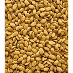 Versele-Laga Nutribird P15 Original Papegaai - Vogelvoer