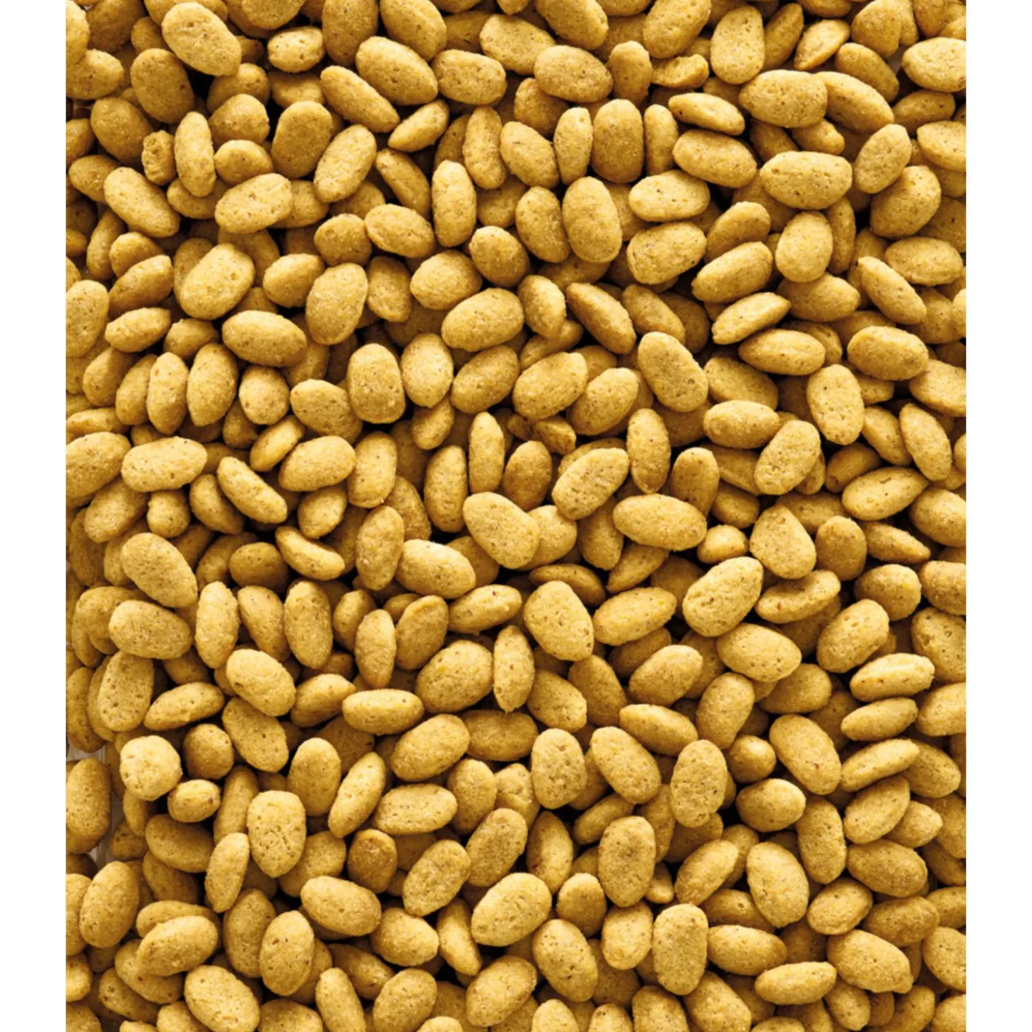 Versele-Laga Nutribird P19 Original Papegaai Kweekvoer - Vogelvoer - 10 kg