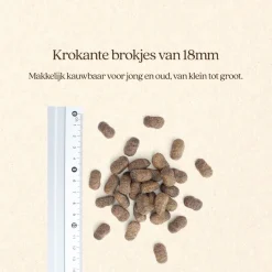 Vitalstyle Adult Original - Hondenbrokken - 12 kg