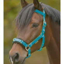 Waldhausen Cavesson Economic - Longeerhalster Blauw - Paardenhalster
