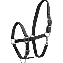 Waldhausen Halster Luxe Zwart - Paardenhalster