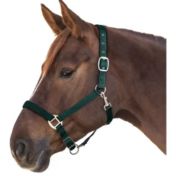Waldhausen Halster Satin Donkergroen - Paardenhalster