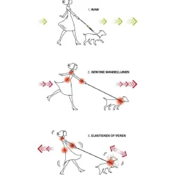 Waw Easy Dog Walk Zwart - Hondenriem-Schokdemper