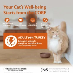 Wellness Core 98% Recipe 85 g - Kattenvoer