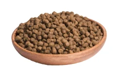Wellness Core Grain Free Cat Sterilised Kip&Kalkoen - Kattenvoer