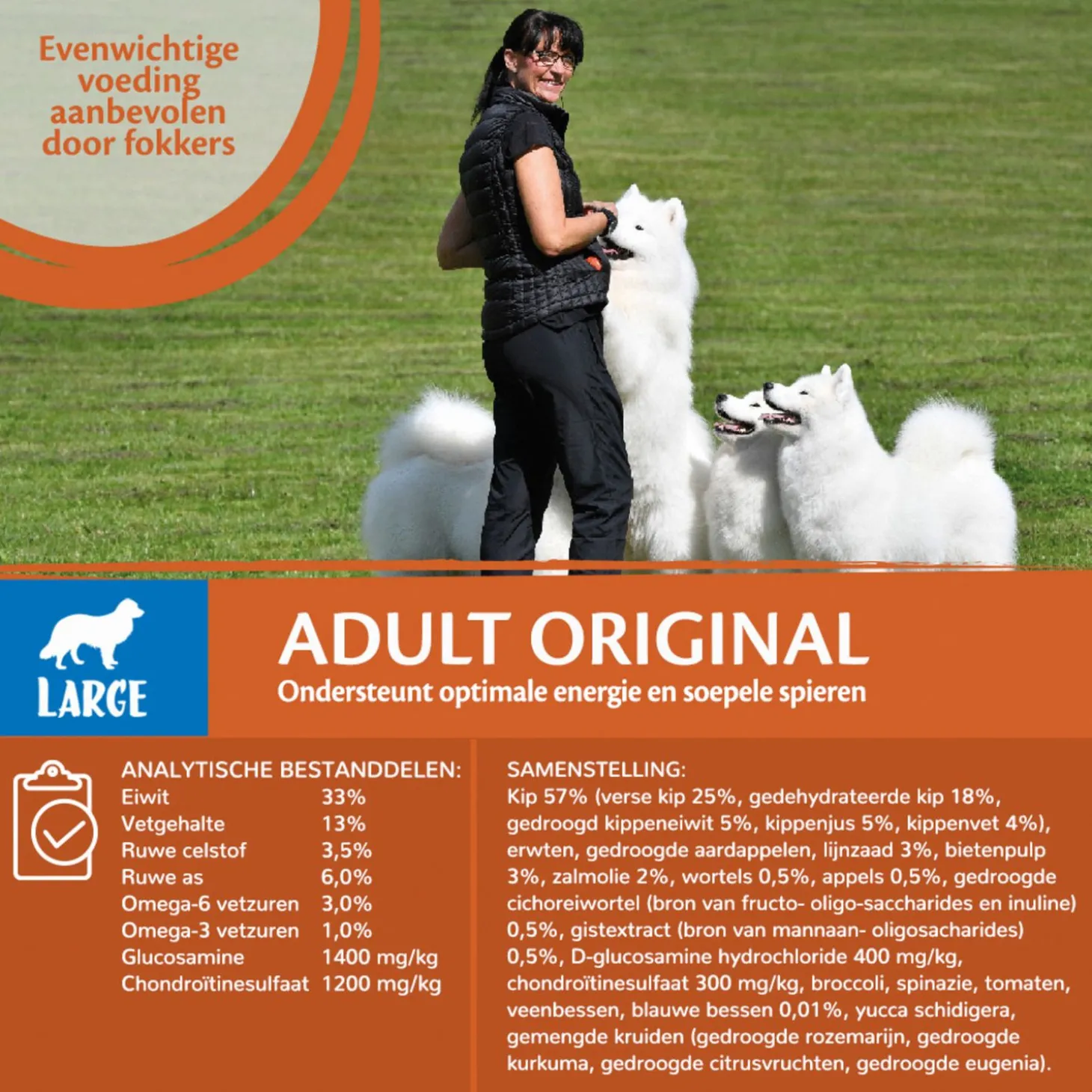 Wellness Core Grain Free Dog Large Breed Adult Kip - Hondenvoer