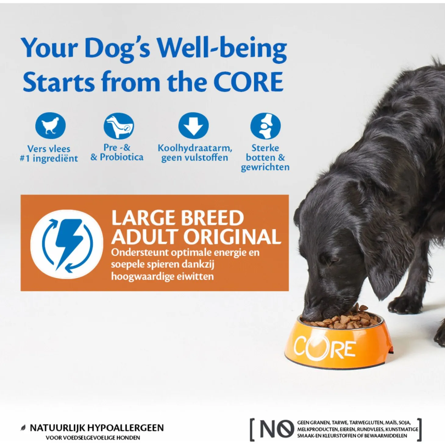 Wellness Core Grain Free Dog Large Breed Adult Kip - Hondenvoer