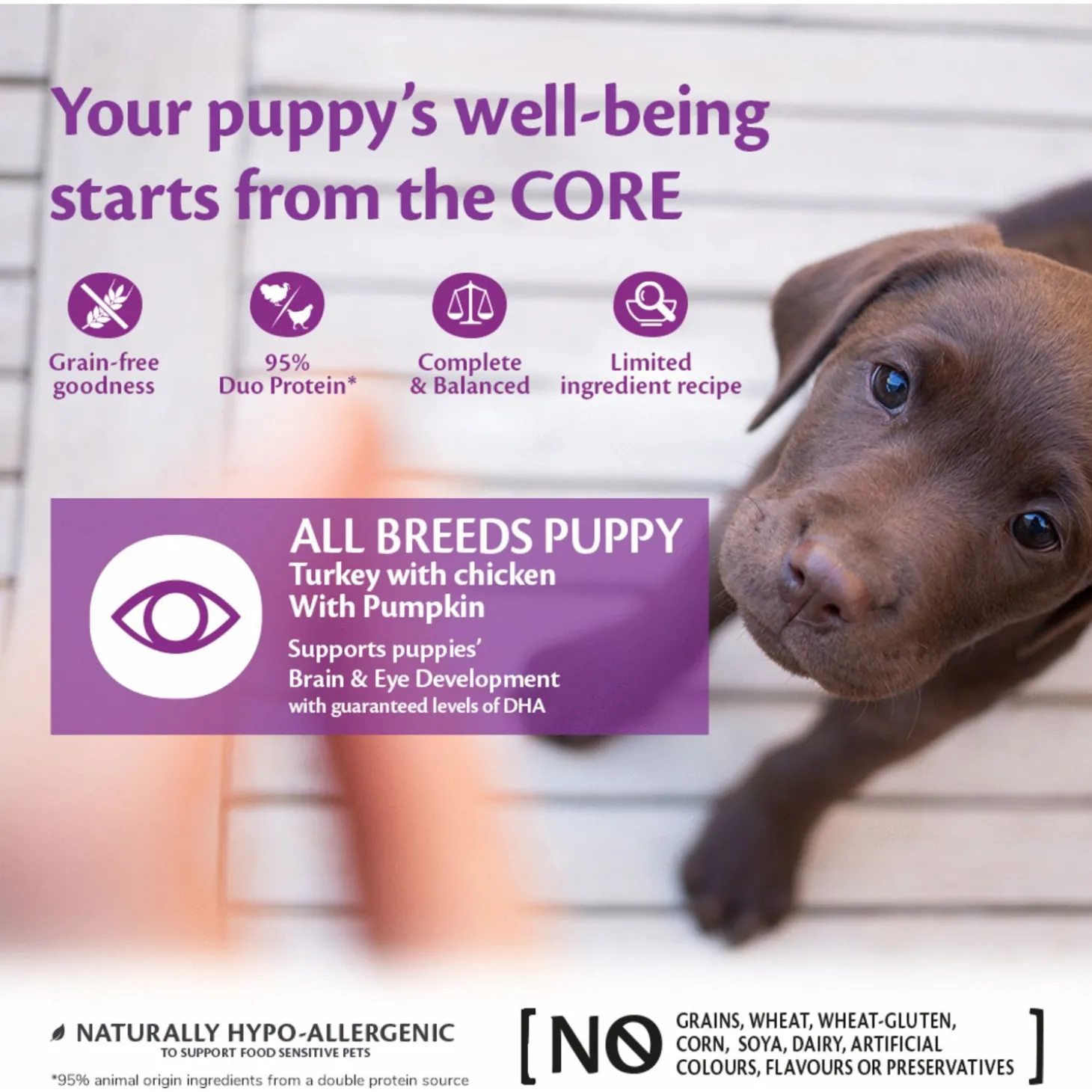 Wellness Core Grain Free 95 Puppy - Hondenvoer - Kip Kalkoen Pompoen 400 g