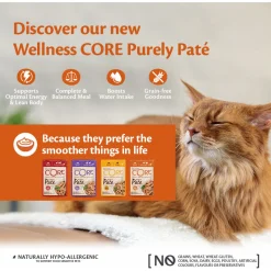 Wellness Core Purely Pate - Kattenvoer - Kip Rund 85 g