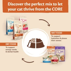 Wellness Core Purely Pate - Kattenvoer - Kip Rund 85 g