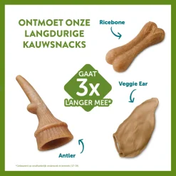 Whimzees Antler Stazak - Hondensnacks - 12 stuks Medium