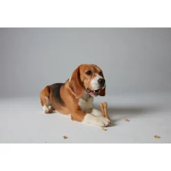 Whimzees Rice Bone - Hondensnacks - Denta 120 g Xlarge