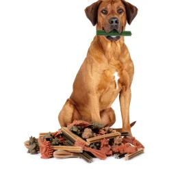 Whimzees Variety Box - Hondensnacks - Denta 12 stuks Hond 18-27 Kg Large