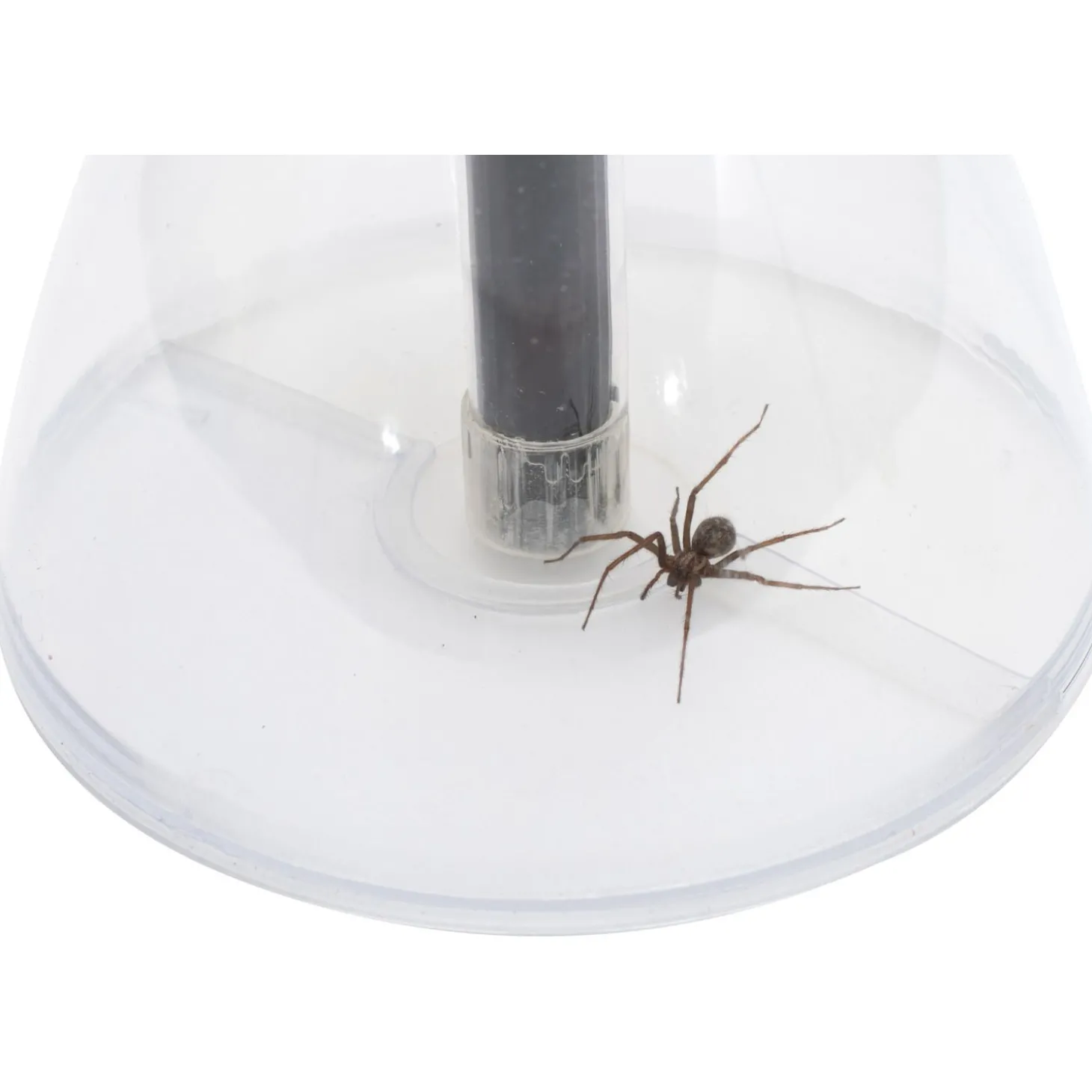 Wildbird Bugaway - Vergrootglas - 36x18 cm Zwart