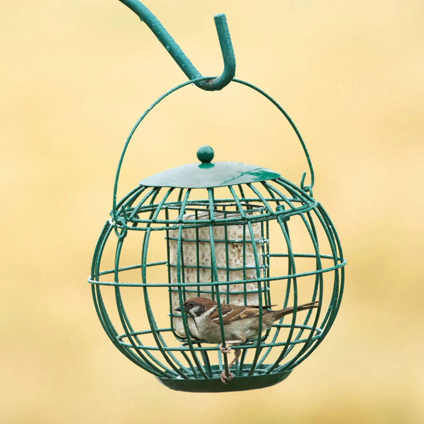 Wildbird Vbn Vetblokhouder London - Voersilo - Ø21.5x20.5 cm Groen