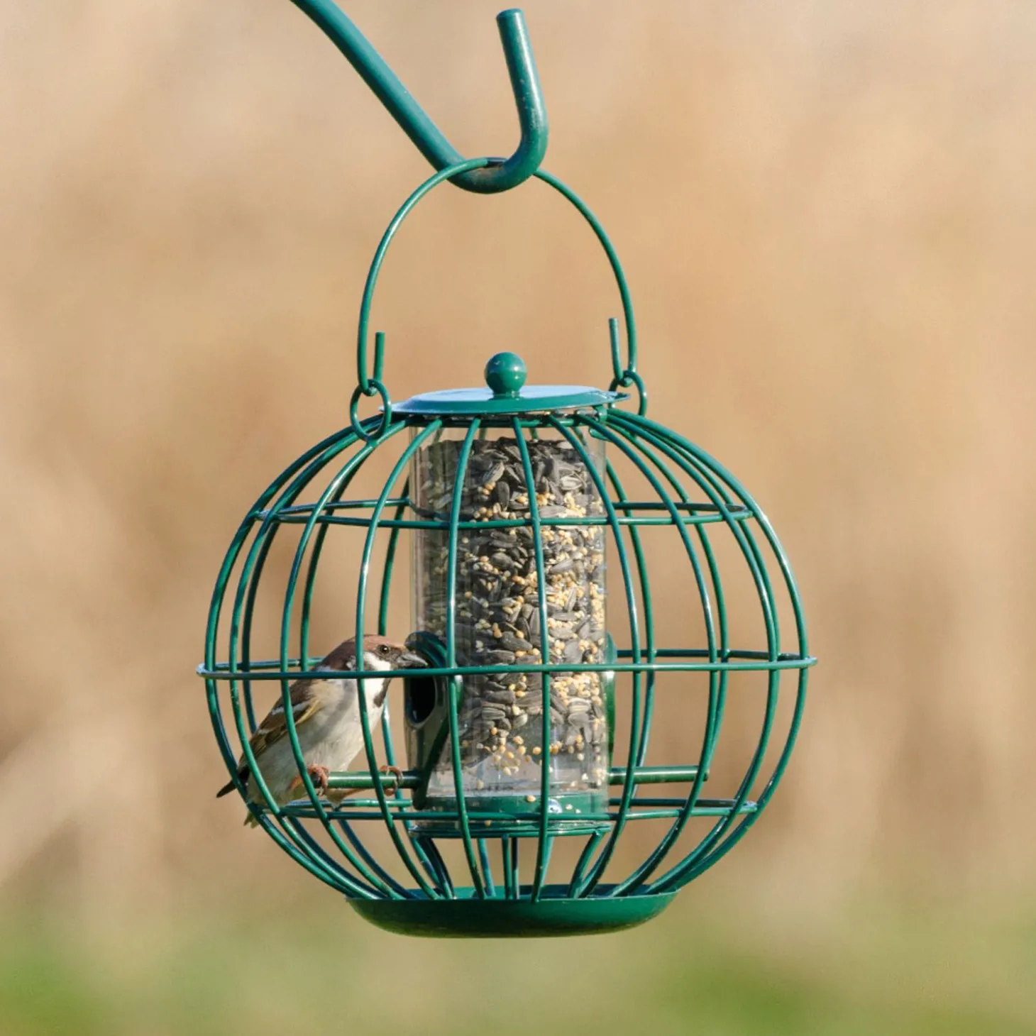 Wildbird Vbn Zaadsilo London - Voersilo - Ø21.5x20.5 cm Groen