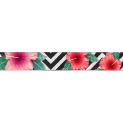 Zee.Dog Mahalo H-Harnas Multi-Color - Hondentuig
