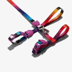 Zee.Dog Prisma Harnass + Lijn - Kattenharnas - 20-30x1.0 cm Multi-Color One Size