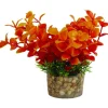 Zolux Kunstplanten Op Grind - Aquarium - Kunstplant - Assorti per stuk Small