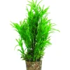 Zolux Kunstplanten Op Grind - Aquarium - Kunstplant - Groen per stuk Medium